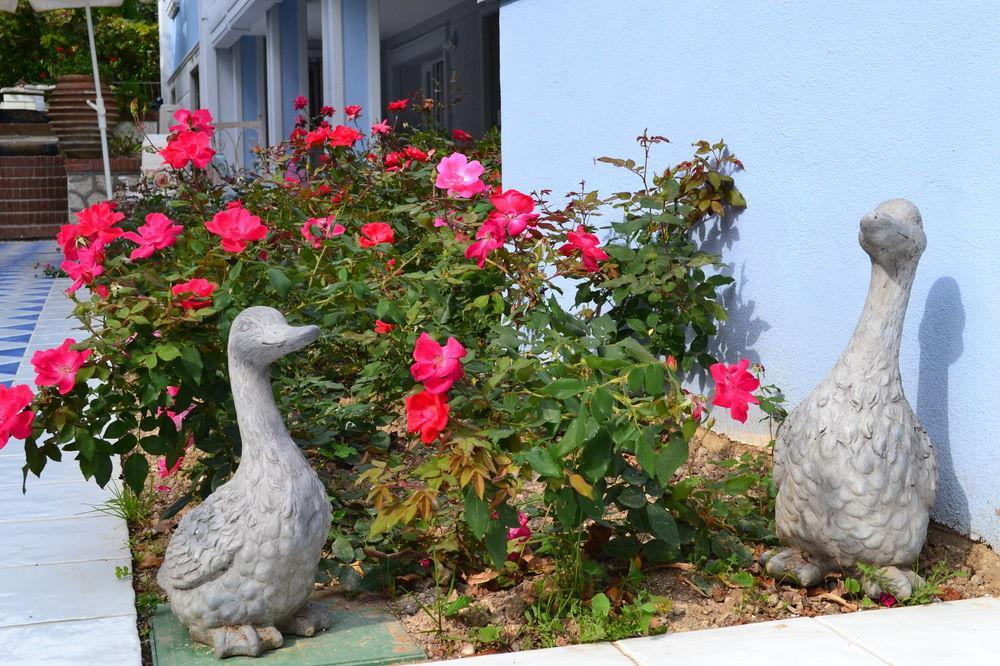 Della Mimosa Hotel 3*